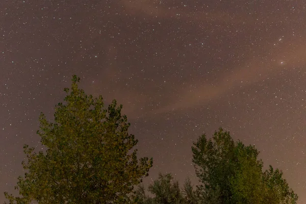 Krajina noční oblohy siluety stromů — Stock fotografie