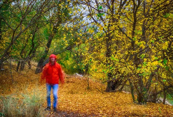 Ο άντρας με το κόκκινο μπουφάν στο δάσος επιλεκτική εστίαση απαλή εστίαση — Φωτογραφία Αρχείου