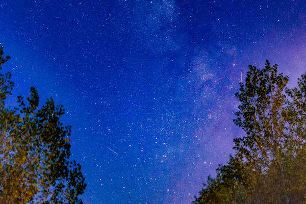 Paisaje del cielo nocturno siluetas de árboles — Foto de Stock