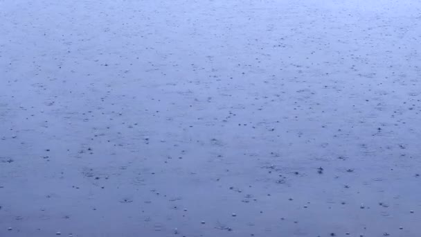 Des gouttes de pluie tombent sur l'eau. De grandes gouttes de pluie tombent dans une flaque d'eau pendant un orage. goutte d'eau. Forte pluie fond de chute — Video