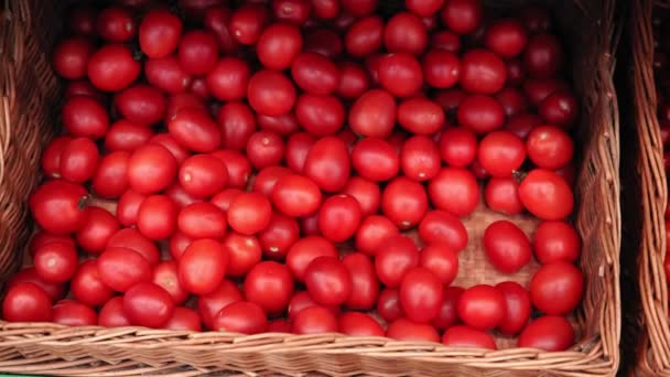 Deliciosos tomates rojos. vender verduras en un hipermercado de comestibles. enfoque selectivo — Vídeo de stock