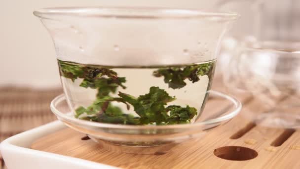 Té verde de cerca en un plato de vidrio transparente. ceremonia del té, fiesta del té — Vídeo de stock