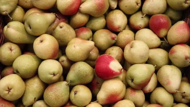 Pears harvest background on shelves in supermarket may use as background close up — Stock Video