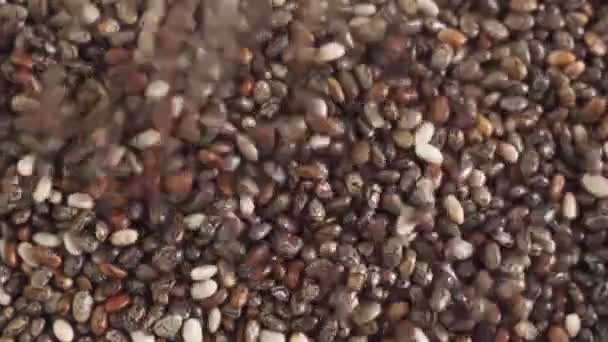 Chia zaden close-up macro achtergrond textuur — Stockvideo