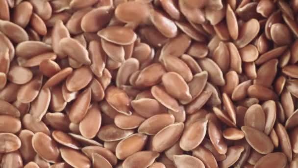 Keten tohumları makro seçici odağı kapat — Stok video