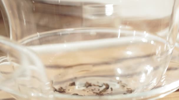 Φλιτζάνι δροσιστικό τσάι με φρέσκα φύλλα τσαγιού επιλεκτική εστίαση close-up. Κάνοντας τσάι ξηρό Shu Puer — Αρχείο Βίντεο