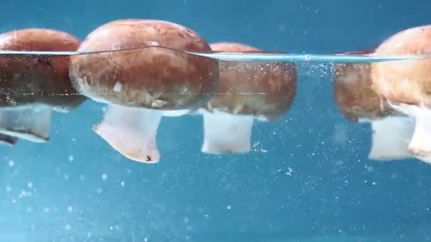 Houby houby se pomalu spouštějí do vroucí vody, zpomalené zblízka. koncepce vaření — Stock video