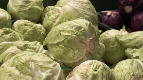 Белая капуста на рынке киосков, продажа овощей — стоковое видео