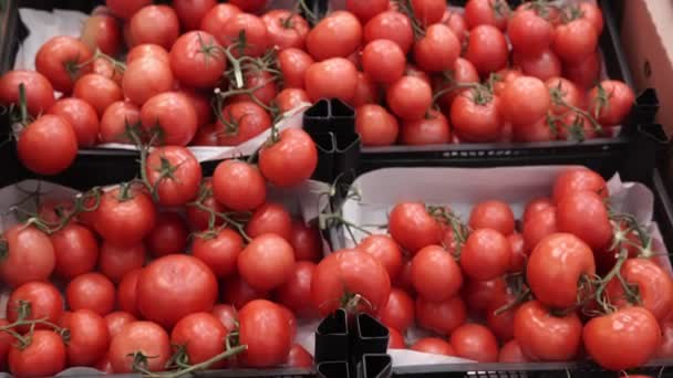 Fondo de tomates rojos maduros. verduras orgánicas en los estantes del hipermercado — Vídeo de stock