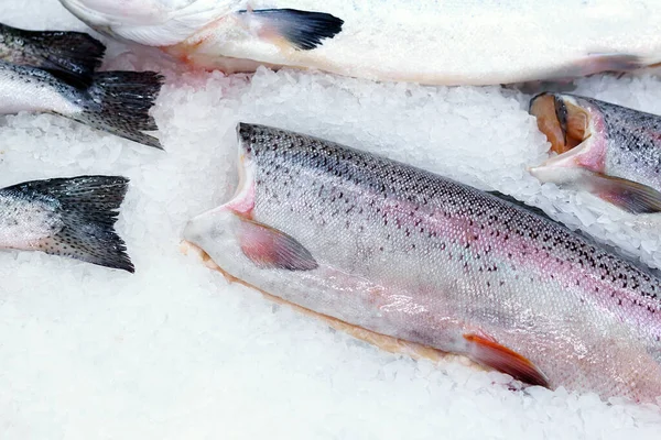 Fisk Klar För Försäljning Snabbköpet Närbild Skott Butiksfönster Med Fiskprodukter Stockbild