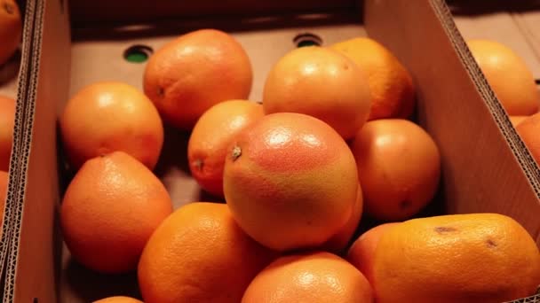 Grépfrútszüret. sok grapefruit. Grépfrútok háttere. Utcai zöldségpiac — Stock videók