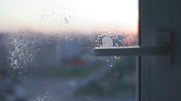 Hände mit Serviettenputzfenster. Das Glas an den Fenstern mit Spray waschen. Selektiver weicher Fokus. — Stockvideo