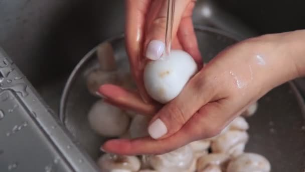 A gombát női kézben mossa le vízzel. Mosd le a sármaradványokat és tisztítsd meg őket. — Stock videók