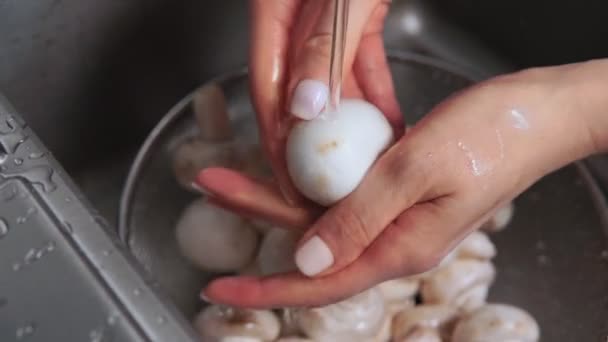 Laver les champignons dans les mains de la femme avec de l'eau. Laver les résidus de boue et les nettoyer — Video