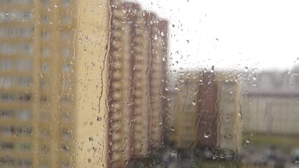 Krople wody na szybę, okno. Deszczowa pogoda latem. ukierunkowanie selektywne — Wideo stockowe