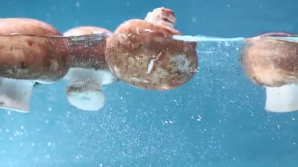 Champiñones Champiñones cae en el agua, de cerca. el concepto de cocina — Vídeos de Stock