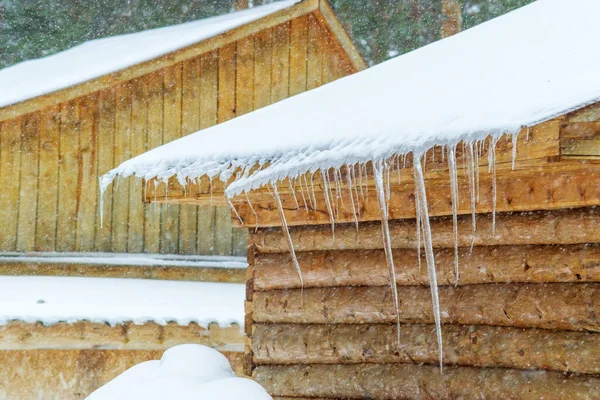 Eis Auf Den Blättern Sind Wunderschöne Eiszapfen Die Von Der — Stockfoto