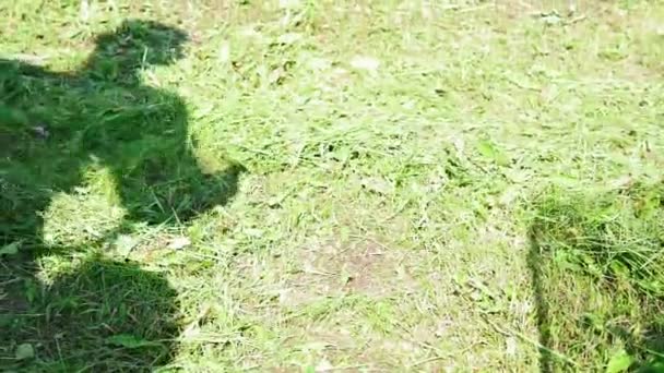 Gazon trimmer maaier maaien gras in een wazig natuur achtergrond — Stockvideo