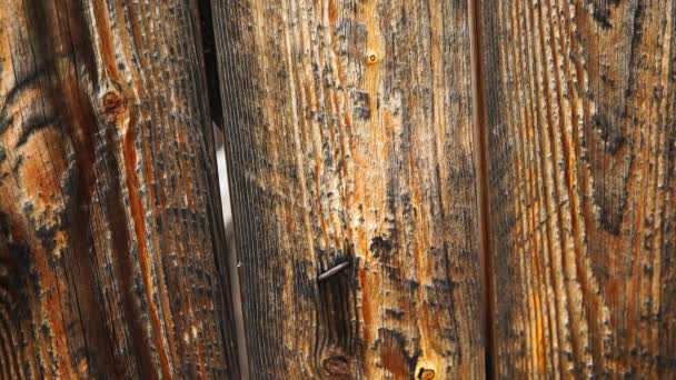 Ciemny wiek puste wiejskie drzewo podłogi wzór tekstury zbliżenie złoty widok powierzchni retro. Kamera statyczna — Wideo stockowe