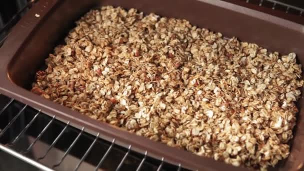 Granola con miel, semillas de chía, avellanas, nueces, anacardos, cacahuetes alimentos dietéticos ecológicos para el desayuno — Vídeos de Stock