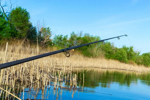 summer fishing on the river. fishing rod feeder, fishing from a boat. Space for copying text. selective focus