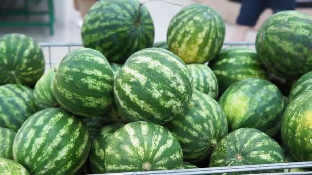Ripe watermelons on the shelves of a hypermarket — Stock Video