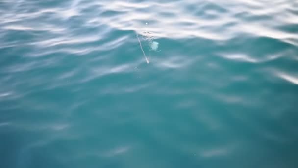 Jette une canne à pêche dans la mer foyer sélectif. Pêche en mer — Video