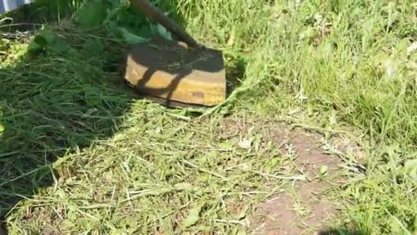 Met behulp van een grasmaaier maaien gras in een wazig natuur achtergrond — Stockvideo