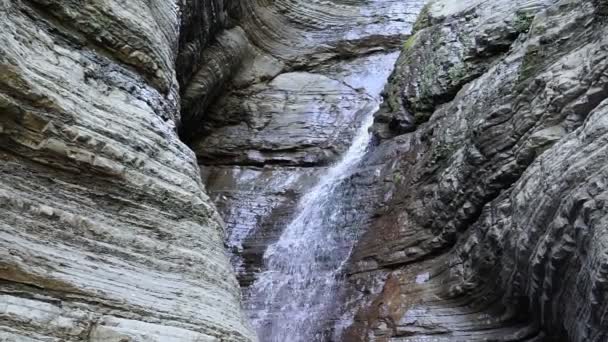 Agua que fluye o cae en movimiento de parada en la cascada. Fondo natural Enfoque selectivo. — Vídeos de Stock