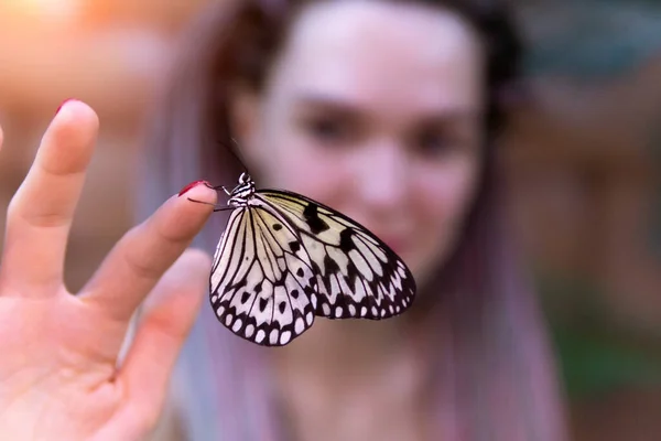 Pillangó Kézen Homályos Háttérrel Pillangó Közelkép Természet Szelektív Fókusz — Stock Fotó