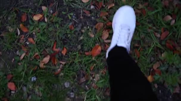 秋に黄色い葉を持つ緑の草の上を白いスニーカーの足が歩く — ストック動画