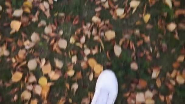 自然秋、緑の芝生の上で黄色の葉。白いスニーカーが草の上を歩いている。. — ストック動画