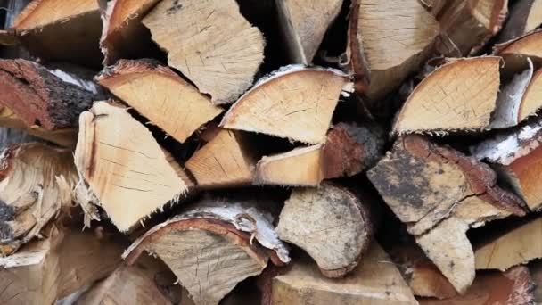 Pila di legna da ardere, Textured of dry chopped logs for wallpaper, Sfondo in legno naturale per modello di design. — Video Stock