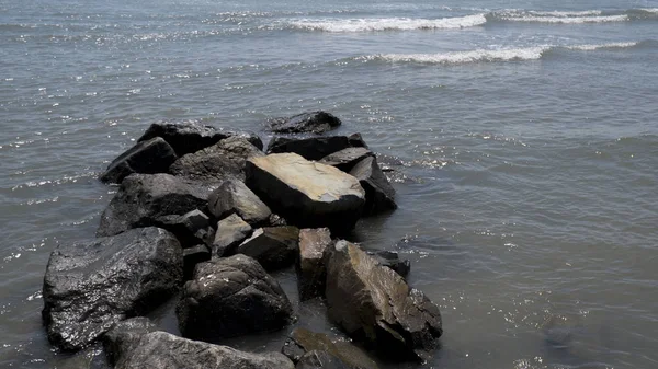 Taşlar bir avuç deniz.