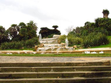 Barcelona, İspanya - kış. Botanik Bahçesi