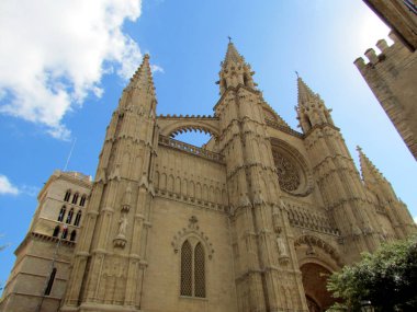 Palma De Mallorca, İspanya. Katedral de Santa Mara. Şaşırtıcı görünümü