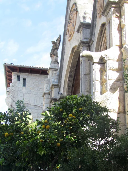 Piękna Katedra Hiszpania Majorka — Zdjęcie stockowe