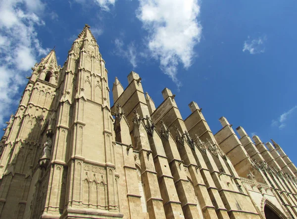 Palma De Mallorca, İspanya. Katedral de Santa Mara. Şaşırtıcı görünümü