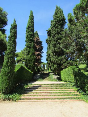 Yeşil güzel park. Botanik Bahçesi