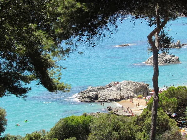 Het Geweldige Strand Spanje Europa — Stockfoto