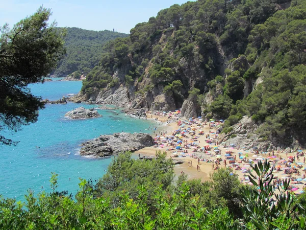 Het Geweldige Strand Spanje Europa — Stockfoto