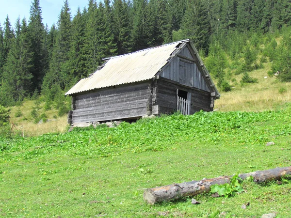 Mooi Landschap Bergen Traditionele Schuur Bergen Karpaten Oekraïne — Stockfoto