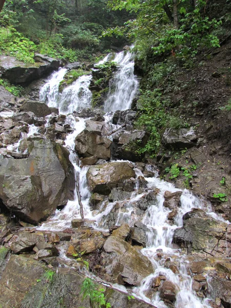 Fiume Montagna Bella Carpathians Ucraina — Foto Stock