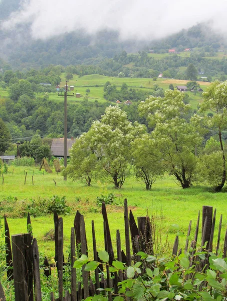 自然の山々 美しい風景 美しい山の景色 カルパティア山脈 山の中の村 — ストック写真
