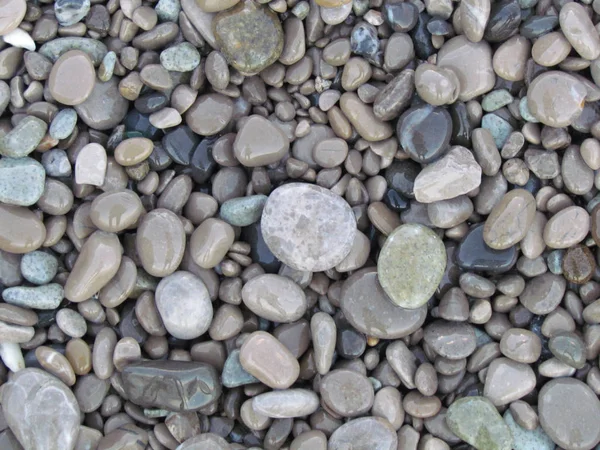 Sea Pebble Sea Stones Background — Stock Photo, Image