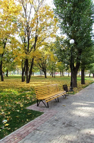 Piękny park jesień. Park, jesień. — Zdjęcie stockowe