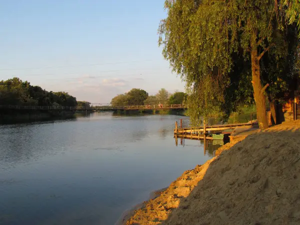 Rivier met bomen op het strand bij zonsondergang — Stockfoto