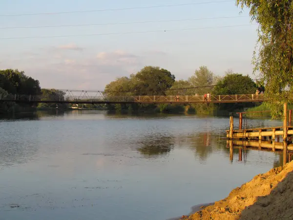 Rivier met bomen op het strand bij zonsondergang — Stockfoto