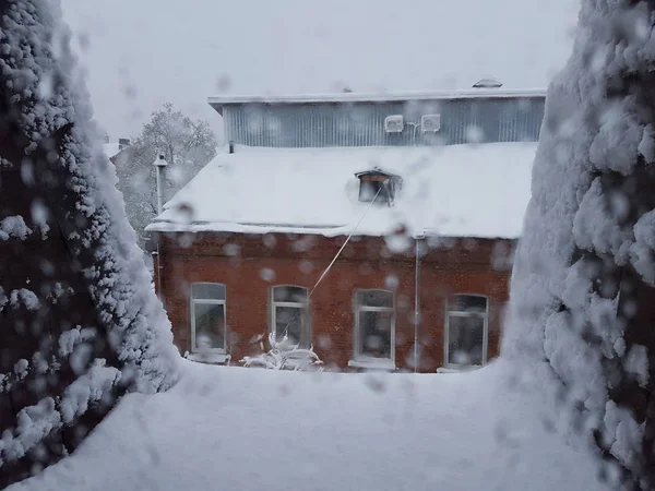 Inverno fora da janela — Fotografia de Stock