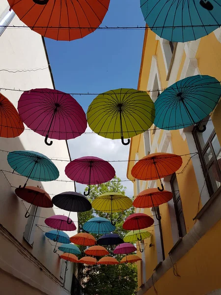 Renkli şemsiyeler. Sokak dekorasyon.